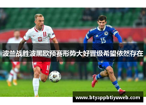 波兰战胜波黑欧预赛形势大好晋级希望依然存在