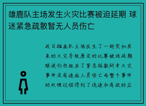 雄鹿队主场发生火灾比赛被迫延期 球迷紧急疏散暂无人员伤亡